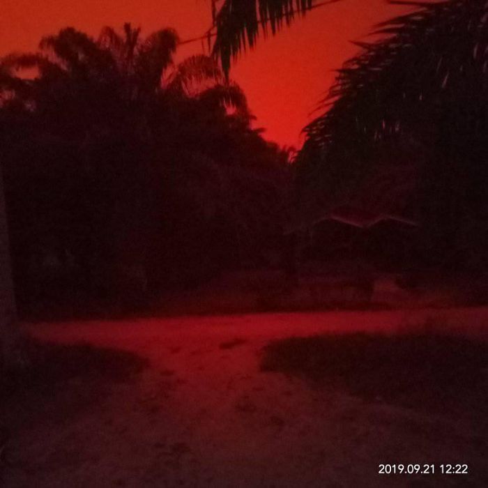 red sky indonesian 6 5d88d9fca6e8d 700 Nad jedną z wiosek w Indonezji pojawiło się krwistoczerwone niebo. To efekt pożarów lasów