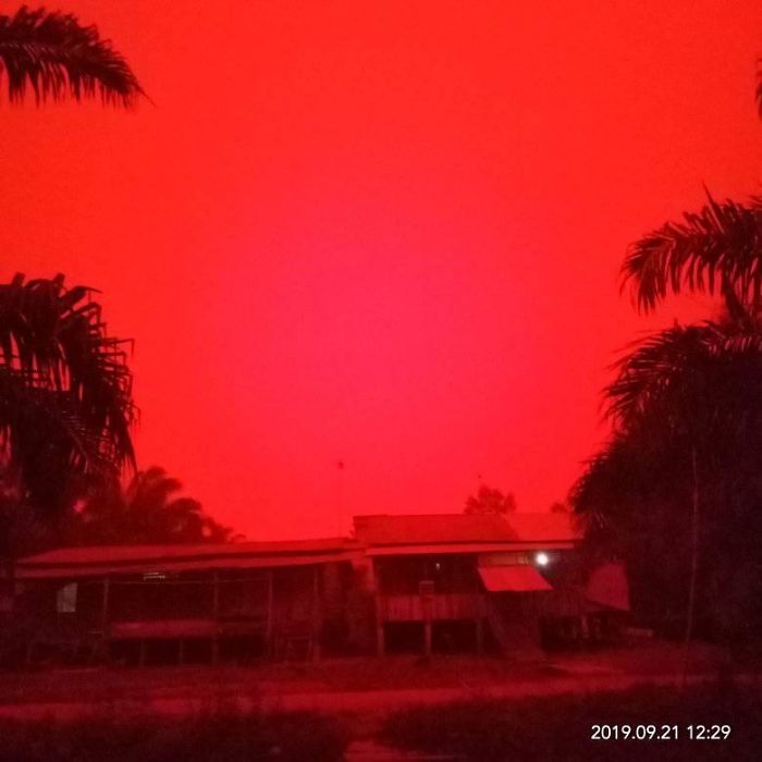 red sky indonesian 9 5d88da02353d0 700 Nad jedną z wiosek w Indonezji pojawiło się krwistoczerwone niebo. To efekt pożarów lasów