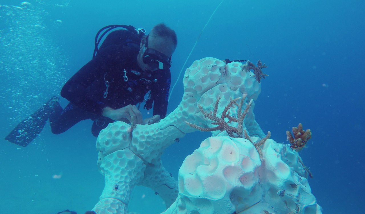 Wydrukujmy rafę koralową. W jaki sposób drukarki 3D mogą uratować oceany Wydrukujmy rafę koralową. W jaki sposób drukarki 3D mogą uratować oceany?