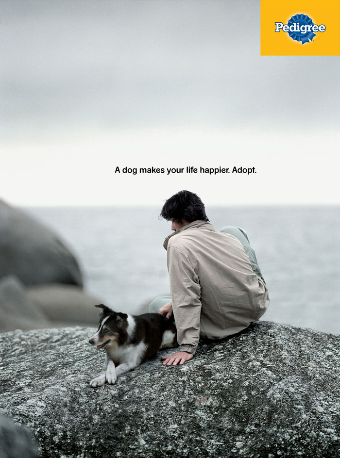 Campaign shows in powerful ads the importance of a dog in your life 5dc27cea8d895 700 Kampania Pedigree, która pokazuje, jak pies może odmienić życie człowieka