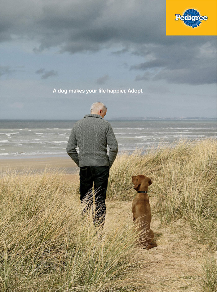 Campaign shows in powerful ads the importance of a dog in your life 5dc27d22dd068 700 Kampania Pedigree, która pokazuje, jak pies może odmienić życie człowieka
