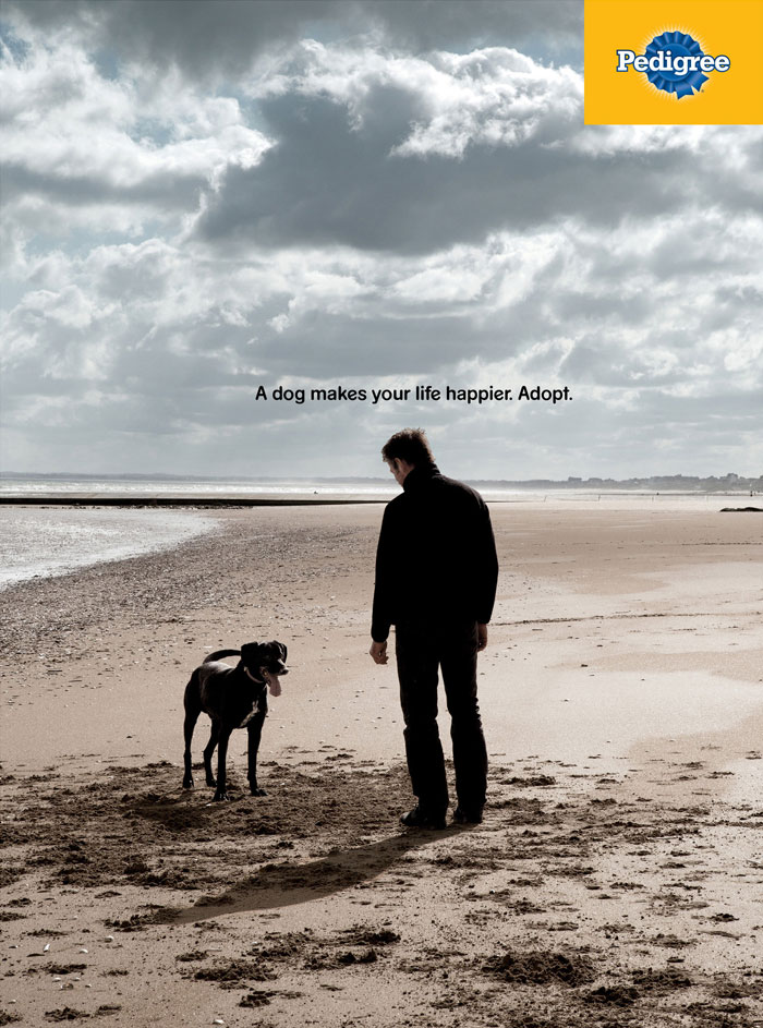 Campaign shows in powerful ads the importance of a dog in your life 5dc27d50c15cd 700 Kampania Pedigree, która pokazuje, jak pies może odmienić życie człowieka