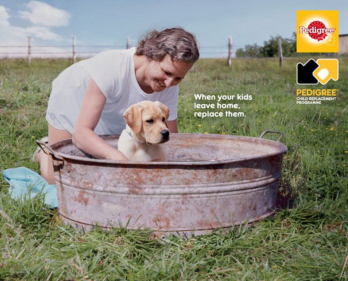 Campaign shows in powerful ads the importance of a dog in your life 5dc27c90f1752 700 Kampania Pedigree, która pokazuje, jak pies może odmienić życie człowieka