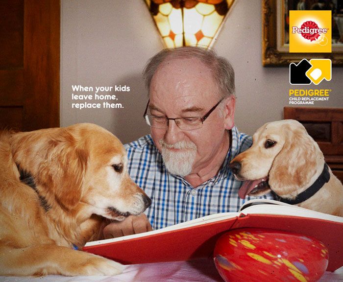 Campaign shows in powerful ads the importance of a dog in your life 5dc27ca389a8e 700 Kampania Pedigree, która pokazuje, jak pies może odmienić życie człowieka