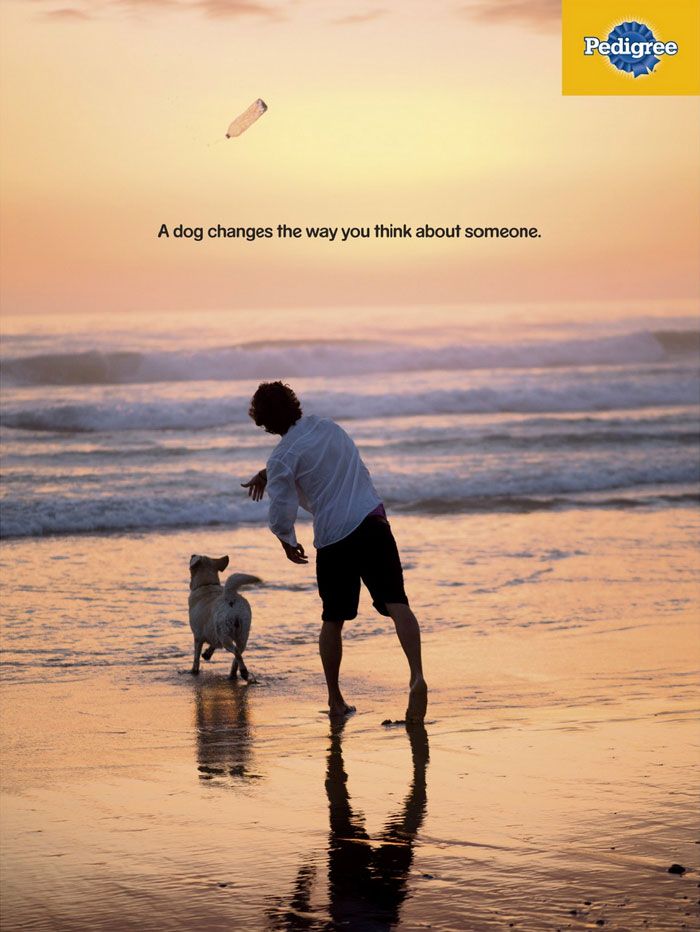 Campaign shows in powerful ads the importance of a dog in your life 5dc27e21e31fc 700 Kampania Pedigree, która pokazuje, jak pies może odmienić życie człowieka