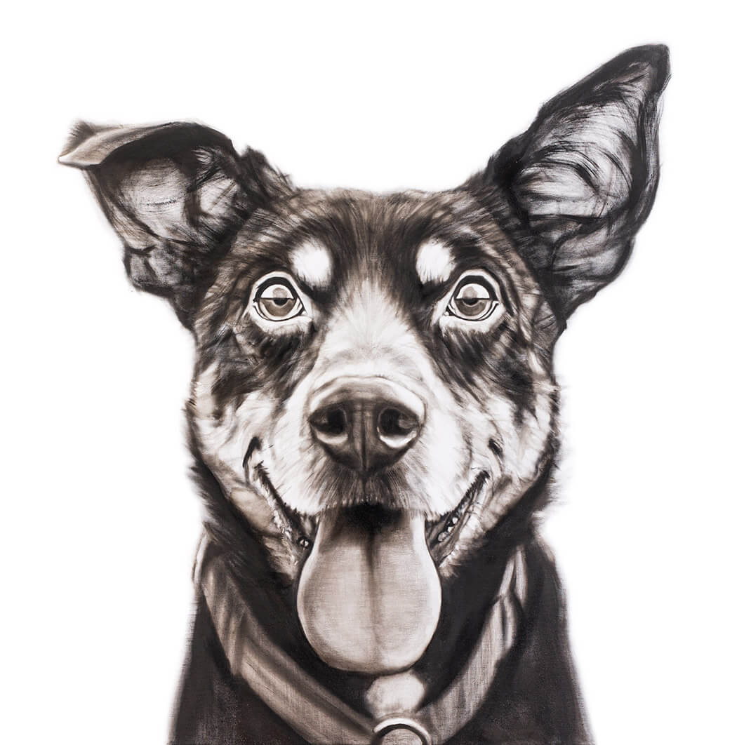Michał Torzecki portret psa