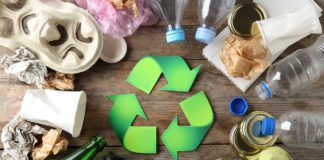 Recykling, upcykling i downcykling – jak odnaleźć się w świecie przetwarzania odpadów?