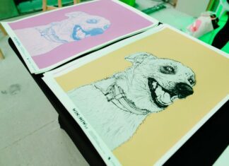 kolorowe rysunki psów Michała Torzeckiego