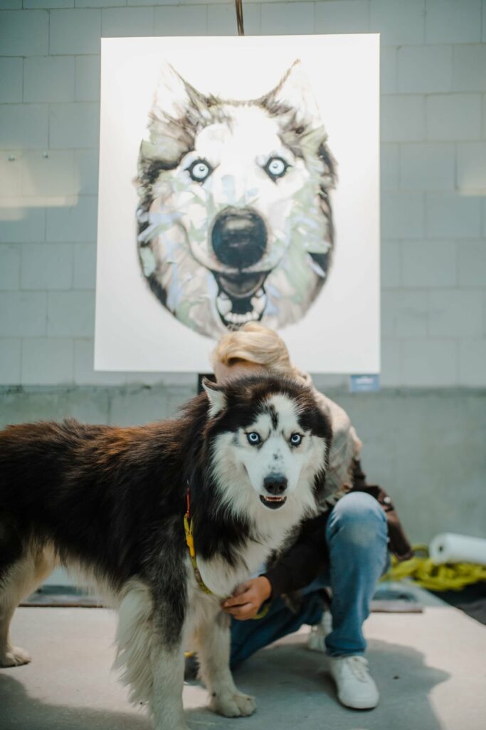 husky stojący na tle swojego portretu