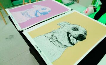 kolorowe rysunki psów Michała Torzeckiego