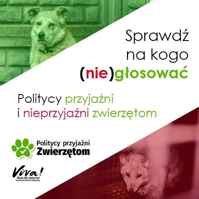 Wybory 2023 ‒ Poglądy kandydatów i kandydatek do Sejmu na ochronę zwierząt